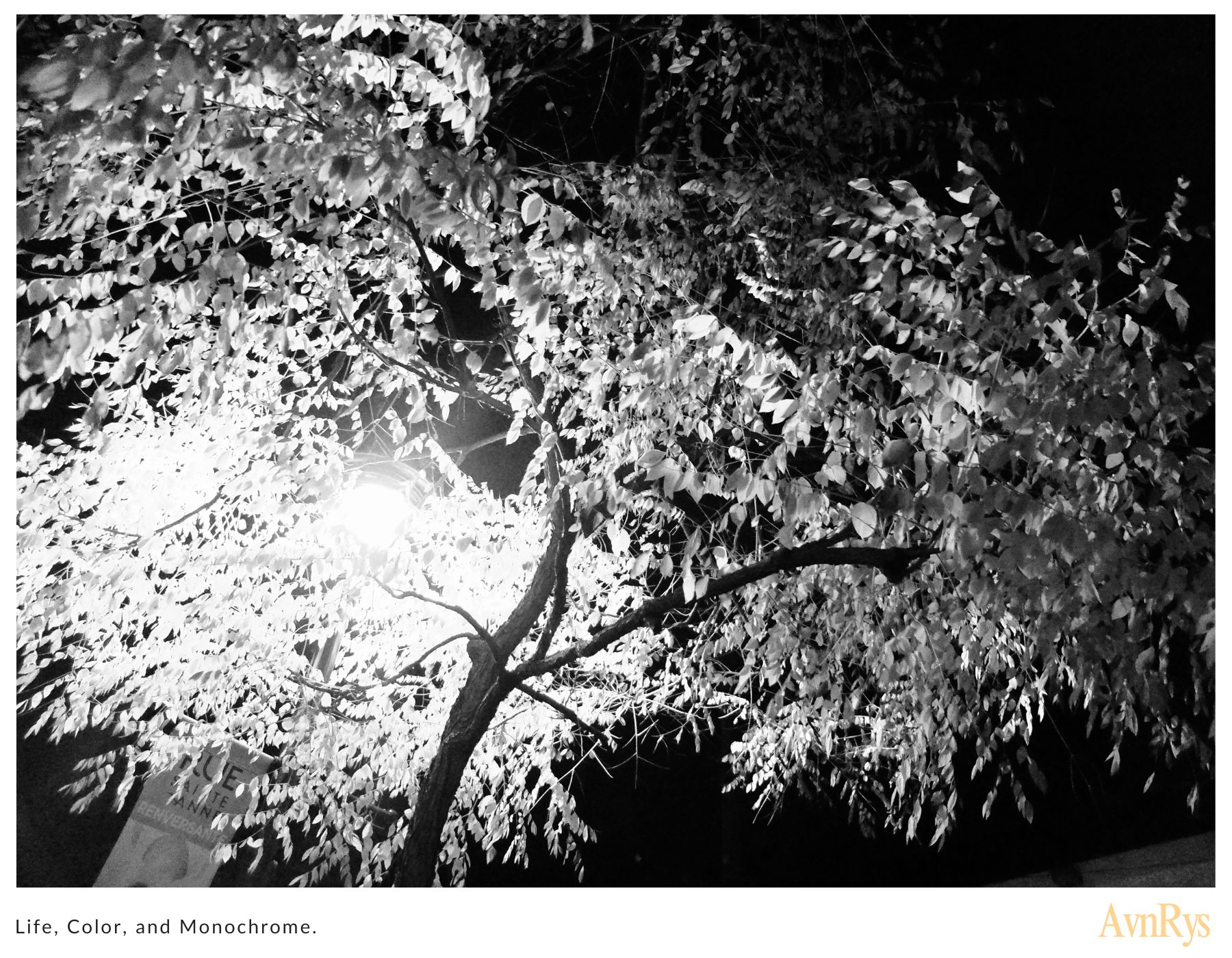 Monochrome 10.25